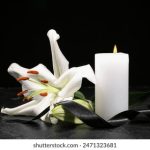 怕怕怕视频免费全在线网站 8kk2622vu