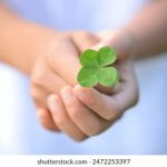 怕怕怕视频免费全在在线观看 ambs7